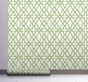 GW0081 Trellis Pattern Peel and Stick Wallpaper Roll 20.5 inch Wide x 18 ft. Long, Green