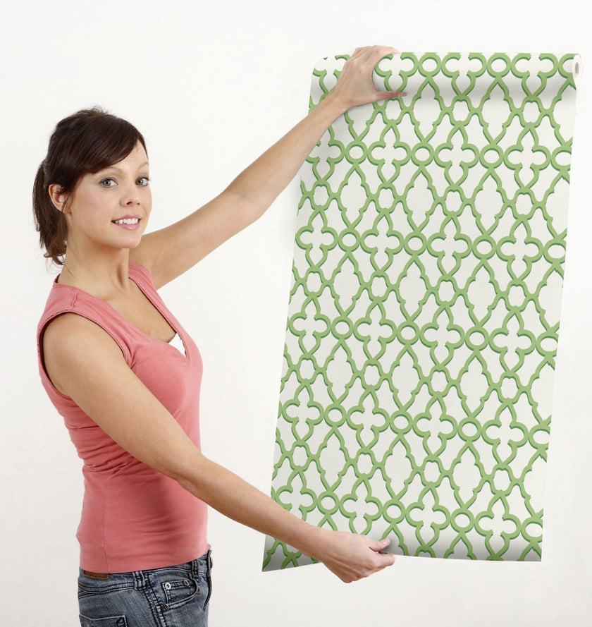 GW0081 Trellis Pattern Peel and Stick Wallpaper Roll 19 inch Wide x 18 ft. Long Green
