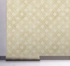 GW0141 Faded Grid Peel and Stick Wallpaper Roll 20.5in W x 18ft L, Beige Brown