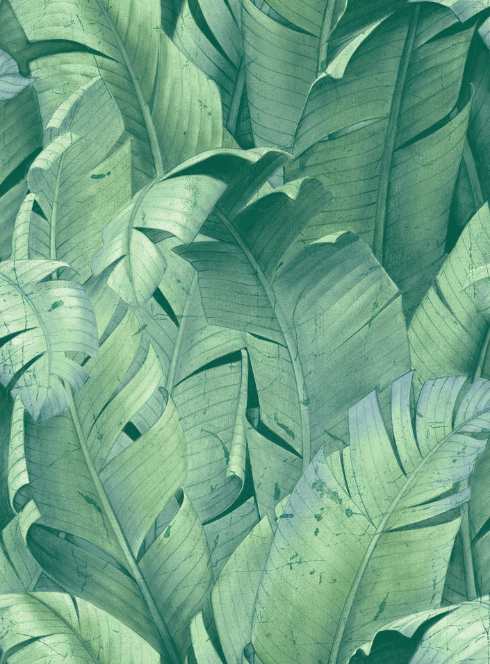 GW2007W Exotic Tropical Banana Leaf Peel and Stick Wallpaper Roll size 19 inch Wide x 18ft. Long Blue Green