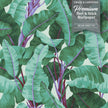 GW2101 Painted Banana Leaves Peel and Stick Wallpaper Roll 20.5 inch Wide x 18 ft. Long, Green/Purple