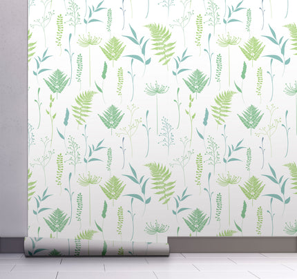 Woodland Ferns