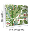 Grace & Gardenia Tropical Banana Leaf on White 27 inch Peel and Stick Premium wallpaper