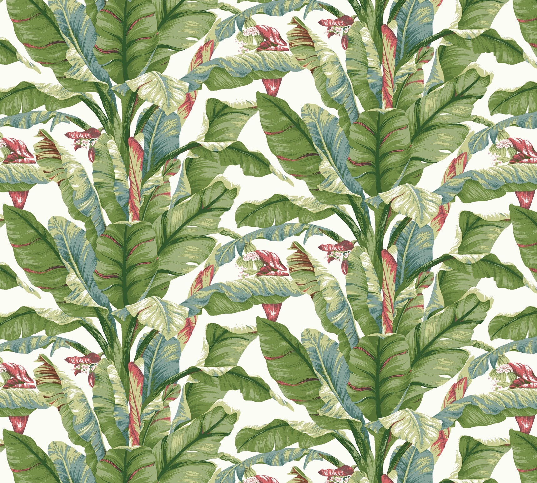 Grace & Gardenia Tropical Banana Leaf on White 27 inch Peel and Stick Premium wallpaper