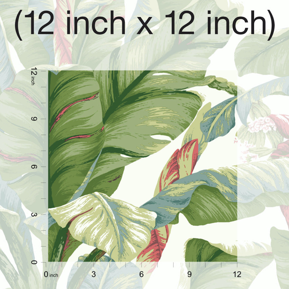 Grace & Gardenia Tropical Banana Leaf on White 27 inch Peel and Stick Premium wallpaper