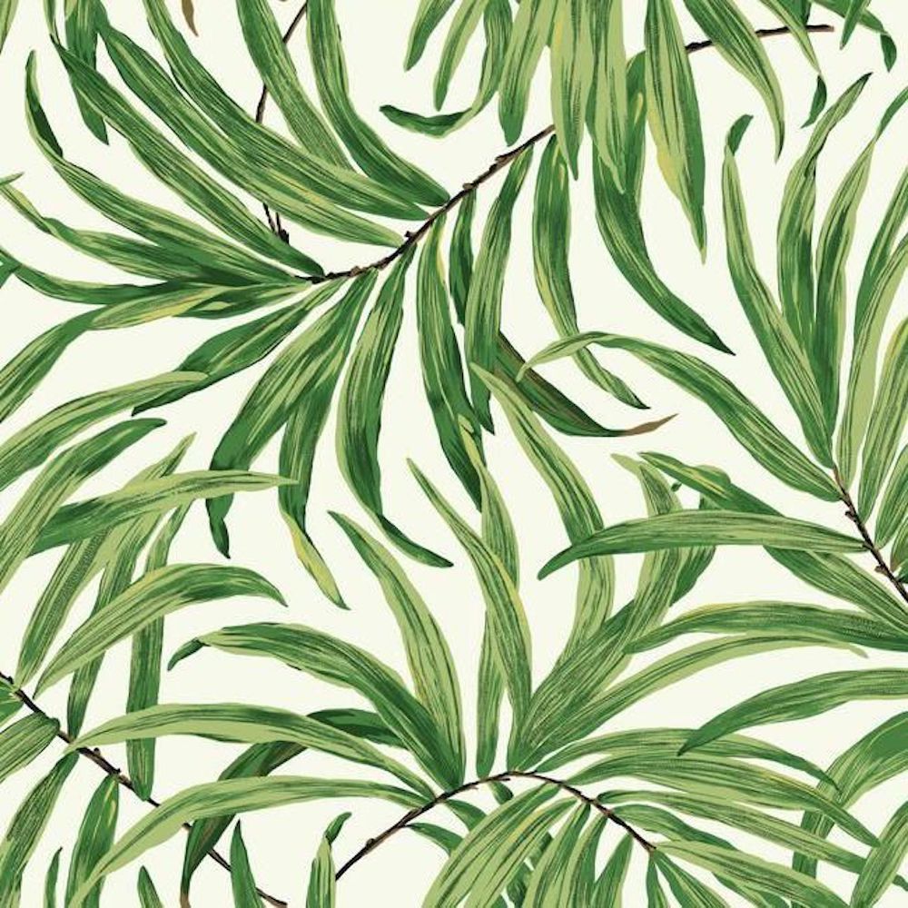 Grace & Gardenia Tropical Palm Leaves Green 27 in wide Peel and Stick Wallpape