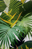 GW12071 Dark Green Palms Peel and Stick Wallpaper Roll 20.5 inch Wide x 18 ft. Long, Green/Yellow