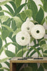 Tropical Banana Leaves Peel & Stick Wallpaper GW1004, Green