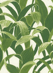 Tropical Banana Leaves Peel & Stick Wallpaper GW1004A Green