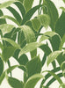 Tropical Banana Leaves Peel & Stick Wallpaper GW1004A Green