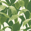 Tropical Banana Leaves Peel & Stick Wallpaper GW1004, Green