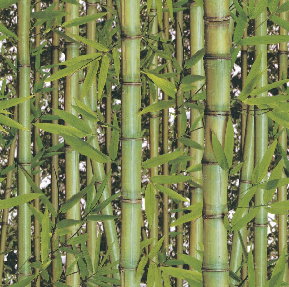 Grace & Gardenia G05C8021 Tropical Bamboo Forest Wallpaper