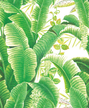 Grace & Gardenia G63151 Hotel Beverly Hills Tropical Banana leaf Wallpaper