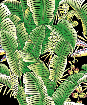 Tropical Banana Leaf  Black and Green Wallpaper by Grace & Gardenia G63152