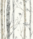 RoomMates RMK9047WP Birch Trees Peel and Stick Wallpaper White/Brown