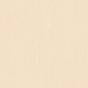 Norwall Concerto Collection WF36318 Screen Wallpaper Beige